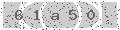 verify code