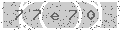 verify code