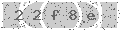 verify code