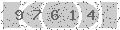 verify code