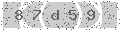 verify code